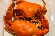 Dân Hà thành lùng mua hải sản ‘khuyết tật’