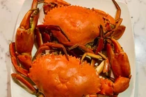 Dân Hà thành lùng mua hải sản ‘khuyết tật’