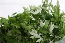 Những loại lá dễ tìm đánh bay rôm sảy cho trẻ