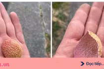 Nhặt được vỏ quả vải, người đàn ông nước Mỹ hốt hoảng