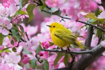 Phụ nữ sinh vào tháng Âm lịch này luôn mạnh mẽ, kiếm tiền tốt