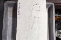 Xương sống ma quái hiện ra trên vách đá: loài chưa từng biết trên thế giới