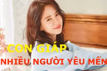 Video: Top 4 con giáp được người người yếu mến quý nhân luôn ở bên