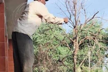 Cô gái kể chuyện gia đình chắp vá và cha dượng 100 người có 1