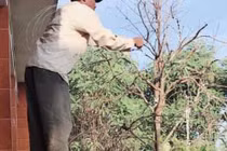 Cô gái kể chuyện gia đình chắp vá và cha dượng 100 người có 1