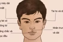 Dù nam hay nữ sở hữu 3 tướng mũi Tài Vượng này đều làm quan to