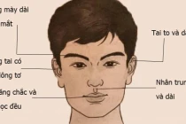 Dù nam hay nữ sở hữu 3 tướng mũi Tài Vượng này đều làm quan to