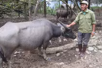 “Dị nhân” Chiềng Bôm nhịn đói để gây cơ đồ trên núi