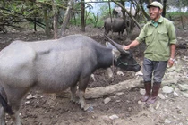 “Dị nhân” Chiềng Bôm nhịn đói để gây cơ đồ trên núi