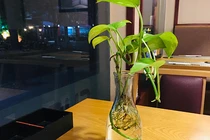 Vợ đòi ly hôn dù tôi không cờ bạc, rượu chè, gái gú