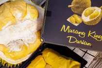 Loại sầu riêng ngon nhất thế giới bán tại Việt Nam