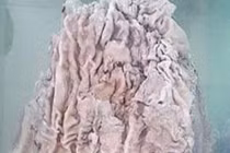 Chàng trai nhặt phế liệu một bước thành tỷ phú 