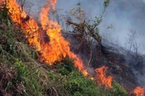 Cụ bà 83 tuổi chết thảm sau khi đốt đám sậy gần nhà