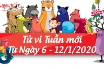 Video: Tử vi tuần mới từ 6/1 đến 12/1 năm 2020 của 12 con giáp