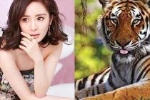 Gà gáy sang canh ngày 1/11 âm lịch: 3 con giáp được nhận lộc trời ban