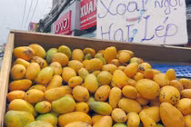 Xoài mút Trung Quốc lại đội lốt xoài Châu Đốc tràn chợ Sài Gòn