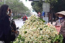 Chủ sạp bỏ quả bán hàng chục cân hoa bưởi, thu tiền triệu mỗi ngày