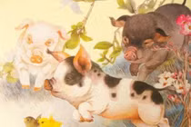 Tuần mới (6 - 12/12): 3 con giáp phất lên mạnh mẽ, giàu sang khó bì 