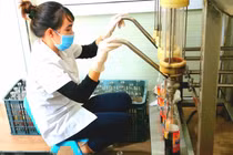 Nước mắm của loại hải sản đắt như vàng ròng