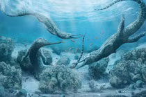 Quái vật giống cá sấu to như xe hơi từng thống trị đại dương