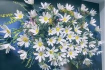 Bắt đất sét nở hoa, bán giá hàng triệu đồng