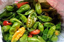 Ớt rớt giá rẻ như cho, riêng loại này vẫn có giá cao ngất
