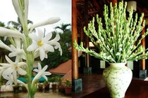 Cúng hoa trên bàn thờ dù là ai cũng nhất định phải biết điều này