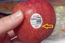 Hoa quả nhập khẩu không phải an toàn tuyệt đối