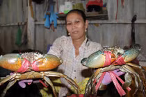 Vì sao cua biển Trà Vinh có giá cao chót vót 350.000 đồng/kg?