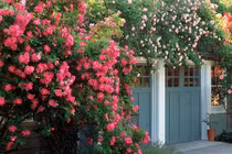 Bố mẹ chồng đề nghị con dâu bán nhà riêng trước ngày cử hành hôn lễ