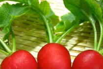 5 loại rau củ cứ tưởng bổ nào ngờ sinh bệnh hại thận