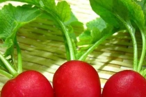 5 loại rau củ cứ tưởng bổ nào ngờ sinh bệnh hại thận