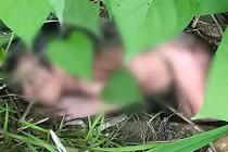 Bé gái bị vứt trong bụi rậm: Nghi do bố mẹ thích con trai hơn