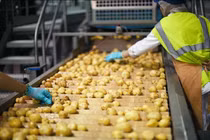 Video: Quy trình sản xuất snack khoai tây trong nhà máy lớn nhất thế giới