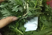 Bật khóc mẹ giấu kỹ 200k trong mớ rau gửi cho con học xa nhà