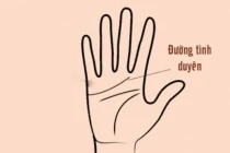 Cao nhân chỉ cách xem đường tình duyên trên tay