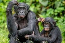 Những sự thật lạ lùng về các loài động vật mà bạn không hề biết