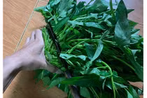 Dân mạng ném đá cách nhặt rau cho người lười