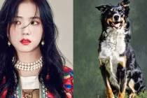 3 con giáp tiền tài, tình duyên đều viên mãn trong 45 ngày tới