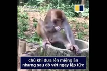 Video: Muôn vàn biểu cảm của động vật khi thử sầu riêng