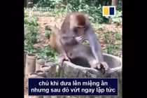 Video: Muôn vàn biểu cảm của động vật khi thử sầu riêng