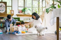 Ngắm nhìn nhà 2 tầng tràn ngập ánh sáng của vợ chồng trẻ Trung Quốc