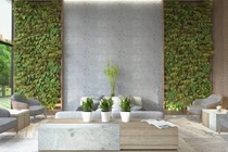 Phòng khách với tường “trơ bê tông” vẫn sang trọng và nổi bật