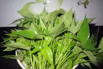 Vì sao gọi lá khoai lang là "món ăn trường thọ hàng đầu"?