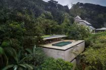 Ngắm ngôi nhà "mọc" giữa rừng rất độc đáo