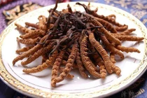 Món ăn không tưởng lọt top đắt giá nhất thế giới