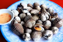 Sò huyết đầm Ô Loan - đặc sản “danh bất hư truyền” ở Phú Yên