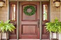 3 tháng cuối năm hãy trồng ngay cây này để sự nghiệp thăng tiến