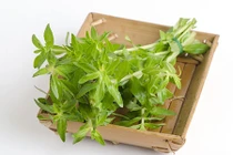 9 loại rau, củ mùa Đông hỗ trợ chữa ho, long đờm hiệu quả