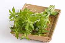 9 loại rau, củ mùa Đông hỗ trợ chữa ho, long đờm hiệu quả